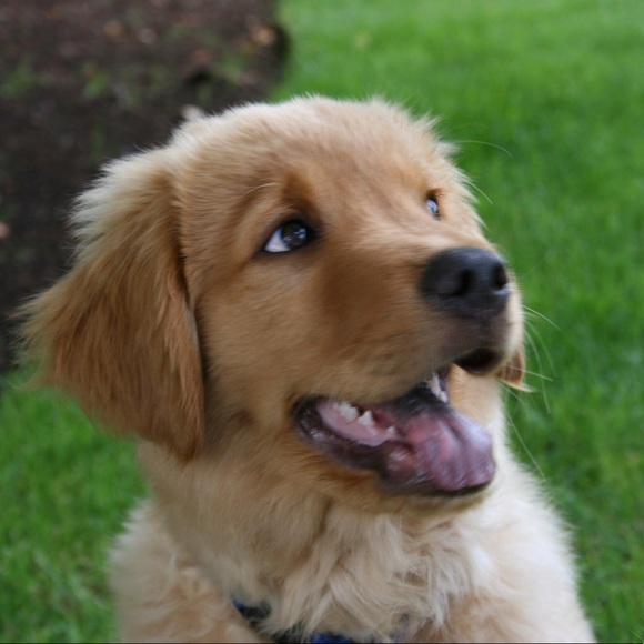 ☮️🐾❤️ Hi! I’m Barb. ❤️🐾☮️ - Picture 4 of 7